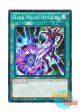 英語版 LEDD-ENA20 Dark Magic Attack 黒・魔・導 (ノーマル) 1st Edition