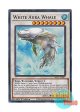 英語版 BLC1-EN011 White Aura Whale 白闘気白鯨 (ウルトラレア：シルバー) 1st Edition