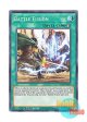 英語版 DLCS-EN019 Battle Fusion 決闘融合－バトル・フュージョン (ノーマル) 1st Edition