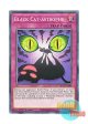 英語版 DLCS-EN088 Black Cat-astrophe 黒猫の睨み (ノーマル) 1st Edition
