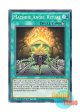 英語版 DLCS-EN111 Machine Angel Ritual 機械天使の儀式 (ノーマル) 1st Edition