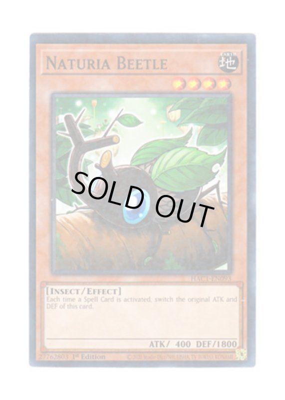 画像1: 英語版 HAC1-EN093 Naturia Beetle ナチュル・ビートル (ノーマル・パラレル) 1st Edition (1)