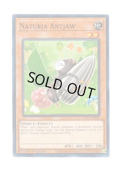 画像1: 英語版 HAC1-EN097 Naturia Antjaw ナチュル・アントジョー (ノーマル) 1st Edition