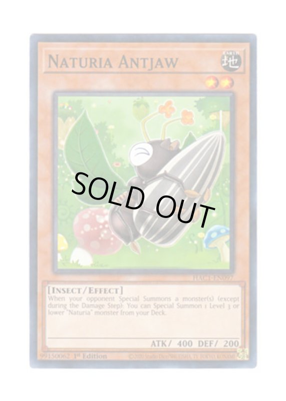 画像1: 英語版 HAC1-EN097 Naturia Antjaw ナチュル・アントジョー (ノーマル・パラレル) 1st Edition (1)