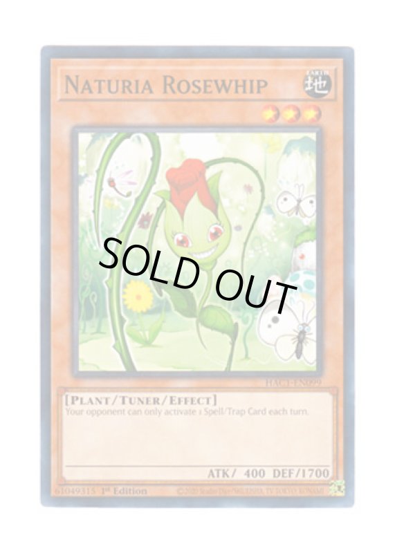 画像1: 英語版 HAC1-EN099 Naturia Rosewhip ナチュル・ローズウィップ (ノーマル) 1st Edition (1)