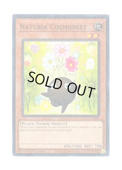 画像1: 英語版 HAC1-EN100 Naturia Cosmobeet ナチュル・コスモスビート (ノーマル・パラレル) 1st Edition
