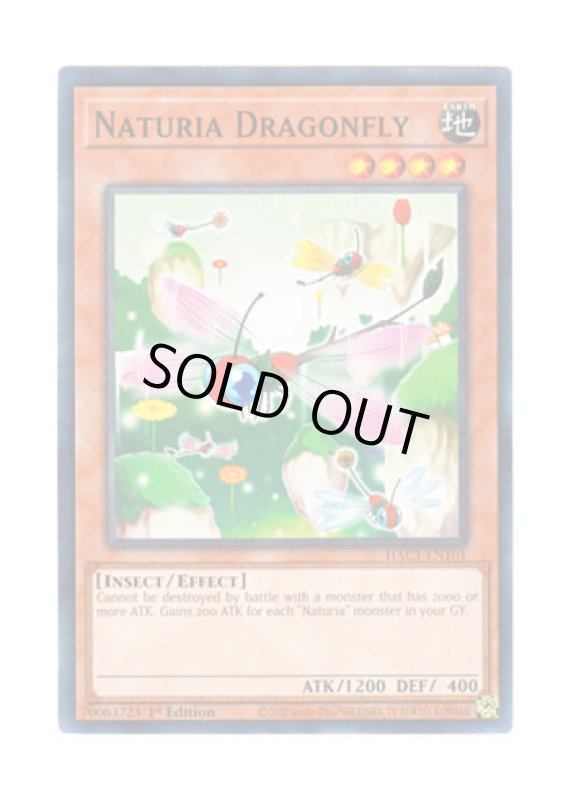 画像1: 英語版 HAC1-EN101 Naturia Dragonfly ナチュル・ドラゴンフライ (ノーマル・パラレル) 1st Edition (1)