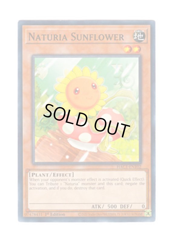 画像1: 英語版 HAC1-EN102 Naturia Sunflower ナチュル・サンフラワー (ノーマル) 1st Edition (1)