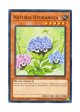 英語版 HAC1-EN107 Naturia Hydrangea ナチュル・ハイドランジー (ノーマル) 1st Edition