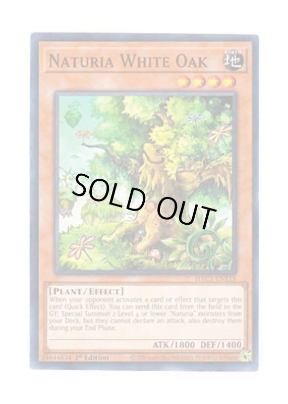 画像1: 英語版 HAC1-EN115 Naturia White Oak ナチュル・ホワイトオーク (ノーマル・パラレル) 1st Edition (1)
