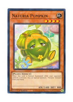 画像1: 英語版 HAC1-EN117 Naturia Pumpkin ナチュル・パンプキン (ノーマル) 1st Edition