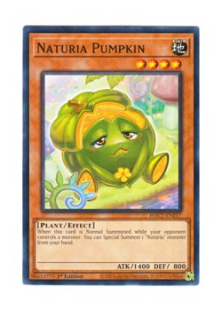 画像1: 英語版 HAC1-EN117 Naturia Pumpkin ナチュル・パンプキン (ノーマル) 1st Edition