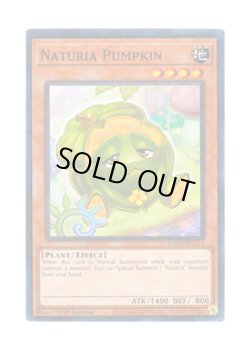 画像1: 英語版 HAC1-EN117 Naturia Pumpkin ナチュル・パンプキン (ノーマル・パラレル) 1st Edition