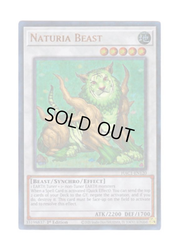画像1: 英語版 HAC1-EN120 Naturia Beast ナチュル・ビースト (ウルトラレア・パラレル) 1st Edition (1)