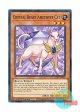 英語版 LDS1-EN093 Crystal Beast Amethyst Cat 宝玉獣 アメジスト・キャット (ノーマル) 1st Edition