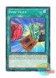 英語版 LDS1-EN104 Rare Value レア・ヴァリュー (ノーマル) 1st Edition