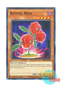 画像1: 英語版 LDS2-EN098 Revival Rose 返り咲く薔薇の大輪 (ノーマル) 1st Edition