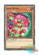 英語版 LDS2-EN100 Rose Witch ローズ・ウィッチ (ノーマル) 1st Edition