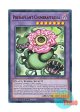 英語版 LDS3-EN074 Predaplant Chimerafflesia 捕食植物キメラフレシア (ウルトラレア：レッド) 1st Edition