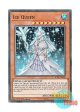 英語版 AC18-EN005 Ice Queen 氷の女王 (スーパーレア) 1st Edition