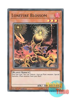 英語版 RA01-EN002 Lonefire Blossom ローンファイア・ブロッサム