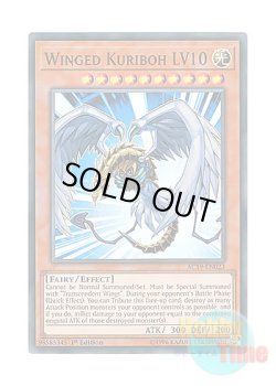 画像1: 英語版 AC19-EN023 Winged Kuriboh LV10 ハネクリボー LV１０ (スーパーレア) 1st Edition