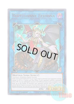 画像1: 英語版 DUOV-EN016 Reptilianne Echidna レプティレス・エキドゥーナ (ウルトラレア) 1st Edition