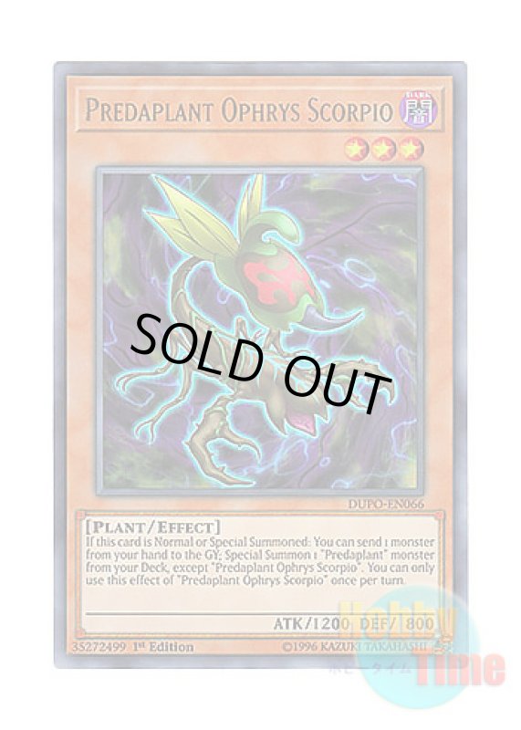 画像1: 英語版 DUPO-EN066 Predaplant Ophrys Scorpio 捕食植物オフリス・スコーピオ (ウルトラレア) 1st Edition (1)