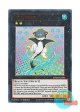 英語版 MAMA-EN066 Cat Shark キャット・シャーク (ウルトラレア) 1st Edition