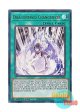 英語版 MAMA-EN088 Dragonmaid Changeover ドラゴンメイドのお召し替え (ウルトラレア) 1st Edition