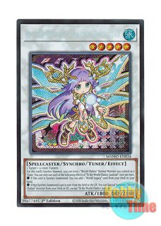 遊戯王 英語版(北米仕様) 日本語版 通販ショップ Hobby Time World