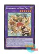英語版 CH02-EN041 Charmers of the Grand Circle 大輪の霊使い (シークレットレア) 1st Edition