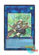 英語版 CH02-EN044 Wynn the Wind Charmer, Verdant 蒼翠の風霊使いウィン (ウルトラレア) 1st Edition