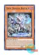 英語版 SDAZ-EN019 Omni Dragon Brotaur 妖醒龍ラルバウール (ノーマル) 1st Edition