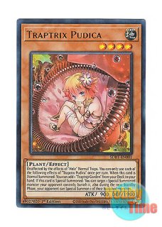 英語版 SDBT-EN046 Traptrix Holeutea ホールティアの蟲惑魔