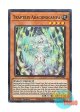 英語版 SDBT-EN002 Traptrix Arachnocampa キノの蟲惑魔 (スーパーレア) 1st Edition