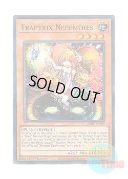 画像1: 英語版 SDBT-EN005 Traptrix Nepenthes カズーラの蟲惑魔 (ノーマル) 1st Edition