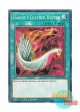 英語版 SDBT-EN026 Harpie's Feather Duster ハーピィの羽根帚 (ノーマル) 1st Edition