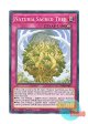 英語版 SDBT-EN037 Naturia Sacred Tree ナチュルの神星樹 (ノーマル) 1st Edition