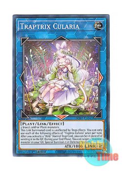 画像1: 英語版 SDBT-EN041 Traptrix Cularia クラリアの蟲惑魔 (ノーマル) 1st Edition