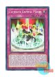 英語版 SDCB-EN037 Ultimate Crystal Magic 究極宝玉陣 (ノーマル) 1st Edition