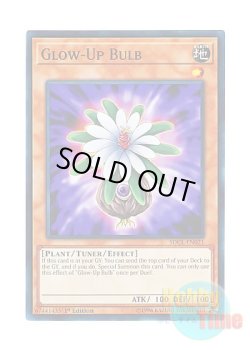 画像1: 英語版 SDCL-EN021 Glow-Up Bulb グローアップ・バルブ (ノーマル) 1st Edition