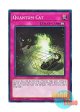 英語版 SDCL-EN037 Quantum Cat 量子猫 (ノーマル) 1st Edition