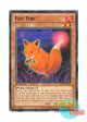 英語版 SDOK-EN018 Fox Fire きつね火 (ノーマル) 1st Edition