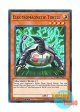英語版 SDSH-EN019 Electromagnetic Turtle 超電磁タートル (ノーマル) 1st Edition