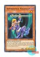 英語版 SR08-EN014 Apprentice Magician 見習い魔術師 (ノーマル) 1st Edition