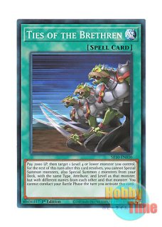 英語版 EXFO-EN091 Curious, the Lightsworn Dominion ライトロード 
