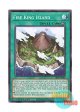 英語版 SR14-EN048 Fire King Island 炎王の孤島 (ノーマル) 1st Edition