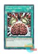 英語版 EGO1-EN023 Brain Control 洗脳－ブレインコントロール (ノーマル) 1st Edition