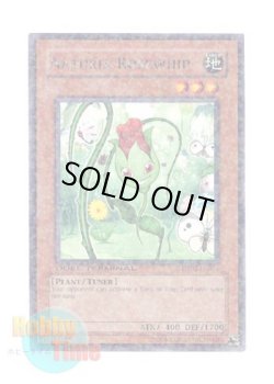 画像1: 英語版 DT02-EN071 Naturia Rosewhip ナチュル・ローズウィップ (レア・パラレル)